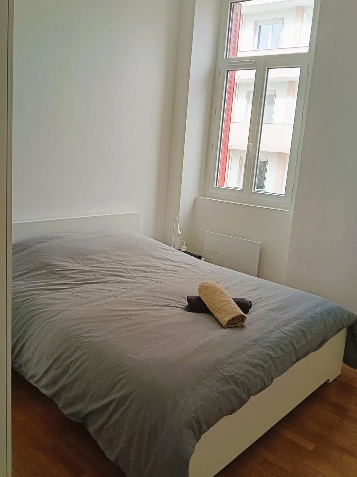 101 - Appart Renove Avec 1 Chambre Spacieuse - Tram Et Clinique Mutualiste A 1 Min Grenoble Esterno foto